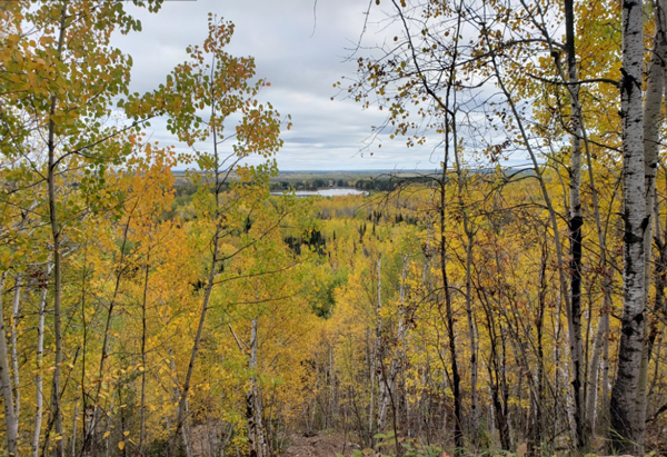 Image of a view from the Iron Range Off-Highway Vehicle State Recreation Area