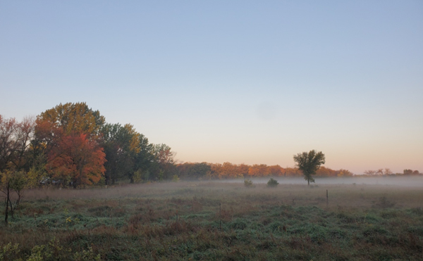 image of fall color at Buffalo River State Park