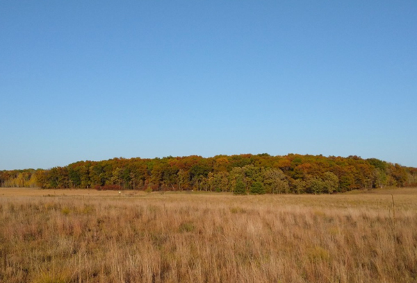 Fall color at Wild River State Park