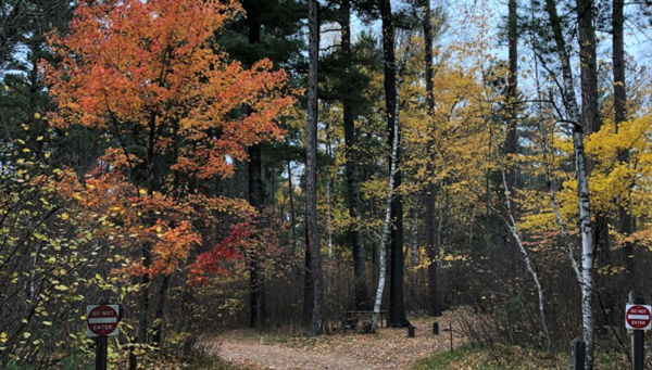 Image of Side Lake Campground at McCarthy Beach State Park