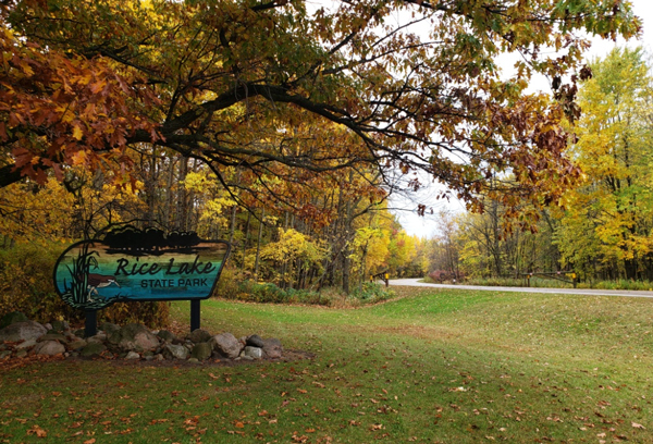 image of fall color at Rice Lake State Park