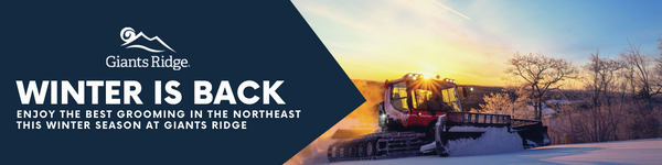 An ad to explore Silver Bay in winter