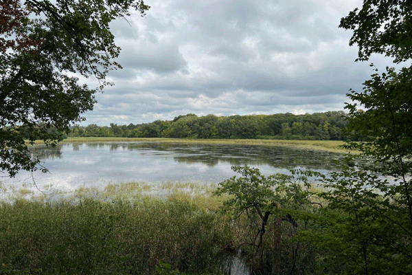 Image of the Wildlife Overlook at Lake Maria State Park