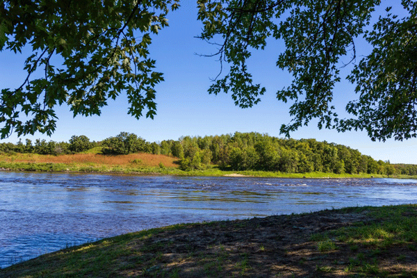 Image of the first fall color at Franz Jevne State Park