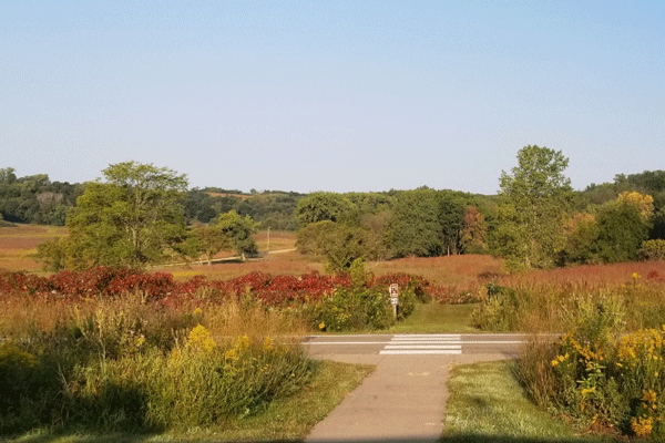 Image of the first prairie color at Frontenac State Park