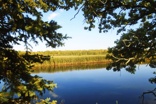 Image of fall color at Schoolcraft State Park