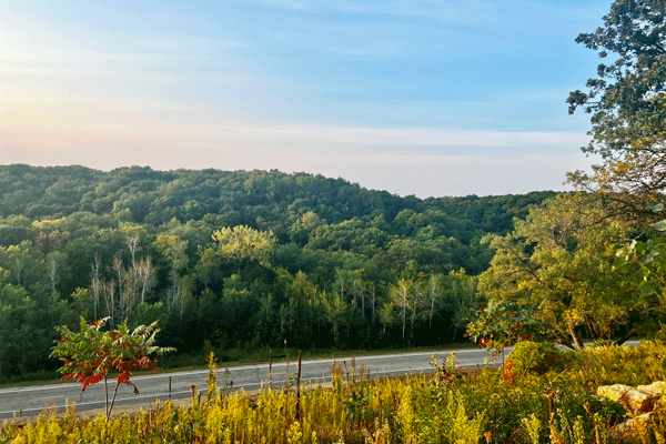 Image of early fall color at Minneopa State Park