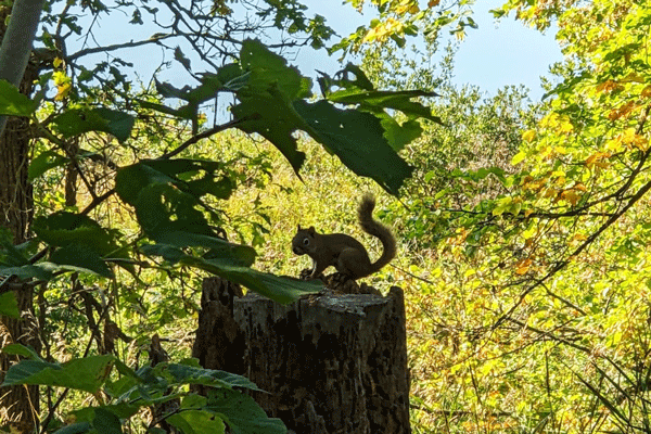 Image of fall color at La Salle Lake State Recreation Area