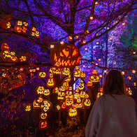 Jack-o-Lantern Spectacular