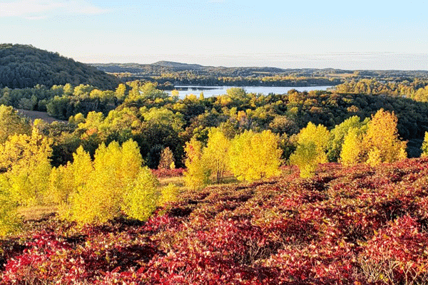 Image of fall colors along Scenic Park Drive at Maplewood State Park