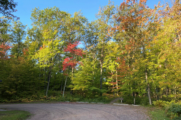 Image of fall color at Mille Lacs Kathio State Park