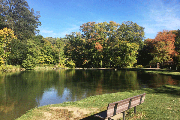 Image of the fall color at the swimming pond at Camden State Park