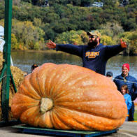 an image of a man's huge pumpkin weighed for the largest pumpkin contest