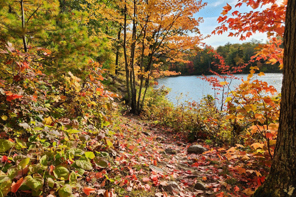 an image of Loon Lake Trail at Savanna Portage State Park