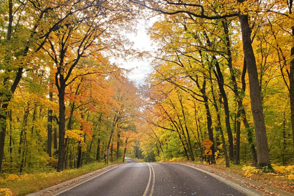 an image of Fall colors at Lake Bemidji State Park