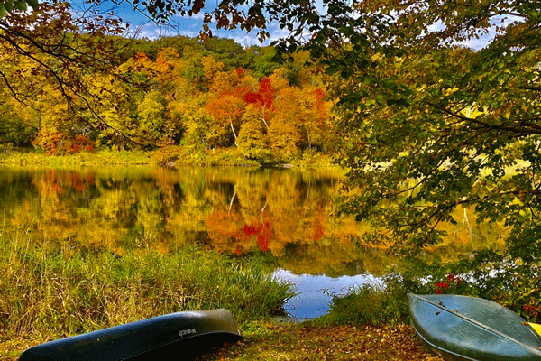 an image of fall color at Lake Alice at William O'Brien State Park