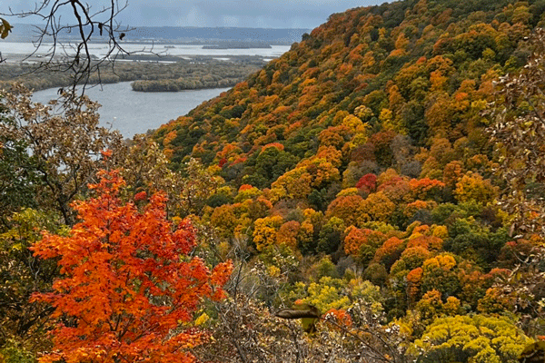 an image of the colorful bluffs at Great River Bluffs State Park