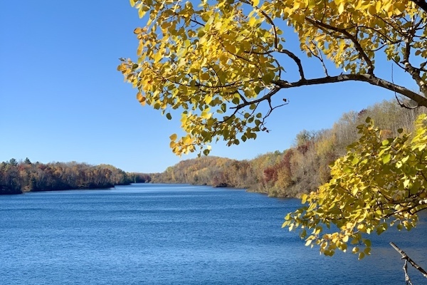 an image of fall color at Cuyuna Country State Recreation Area