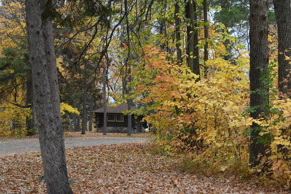 an image of fall colors at Itasca State Park