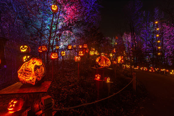 2021 Jack-o-Lantern Spectacular, Minnesota Zoo, Apple Valley / Photo Credit: Minnesota Zoo