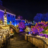 an image of of a holiday lights at the Arboretum