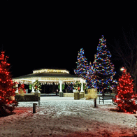 an image of holiday lights