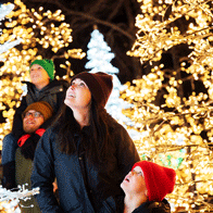 an image of people gazing at holiday lights at the Glow Holiday Festival