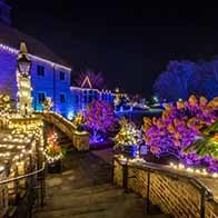 an image of Winter Lights at the Minnesota Landscape Arboretum