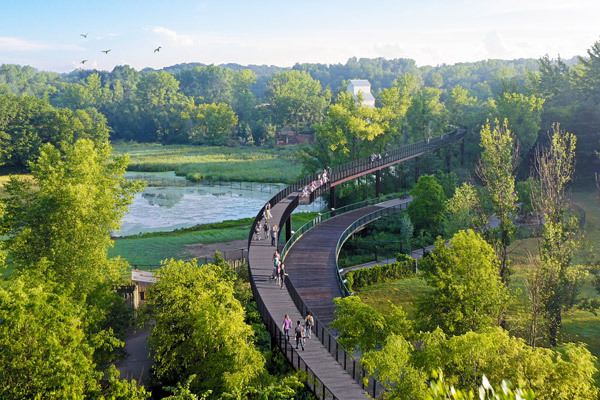 an image of the new Tree Top Trail at the Minnesota Zoo
