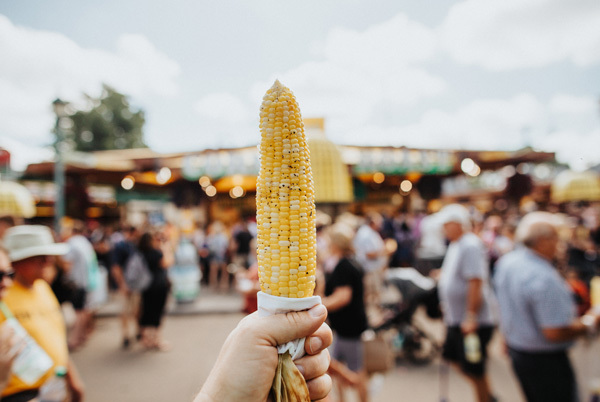 an image of roasted corn, a State Fair staple