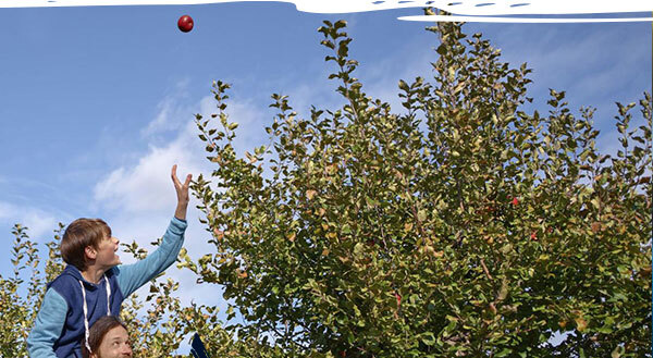Father and son share a sweet family moment at the apple orchard / Paul Vincent