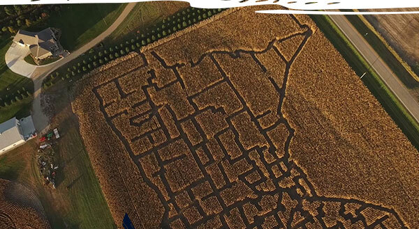 Corn maze at Rock River Pumpkin Festival in Edgerton