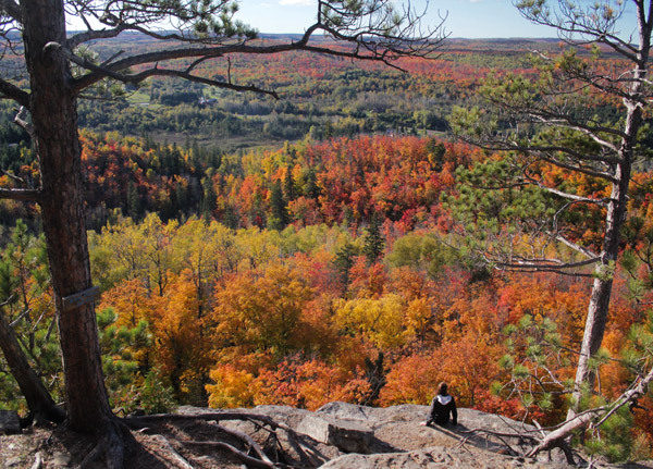 an image of Sawmill Dome coated in lovely fall color