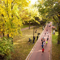 an image of runners in the Twin Cities Marathon surrounded by colorful trees