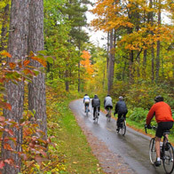 people biking on a trail through colorful woods