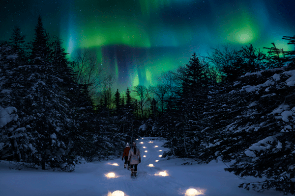 an image of poeple on a luminary hike on the Caribou Trail in Lutsen under the northern lights