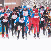 an image of cross-country skiers at a race