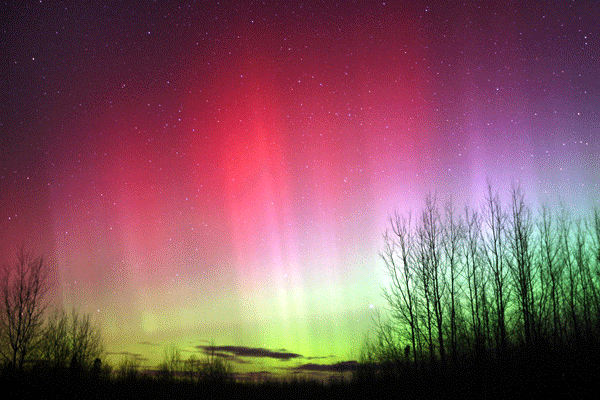 an image of red rays shining through the Aurora Borealis by Bob King