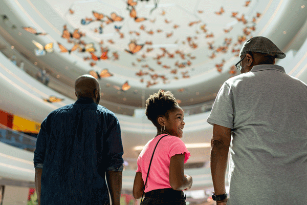 an image of people at the Mall of America