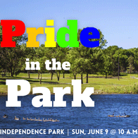 an image of a poster for Pride in the Park