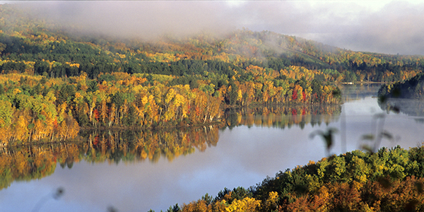 Beautiful fall leaves spotted during the Iron Range loop