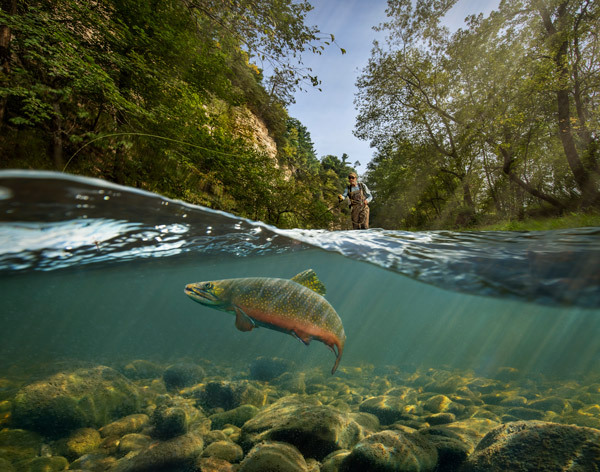Fly Fishing in Root River, Spring Valley / Ryan Taylor
