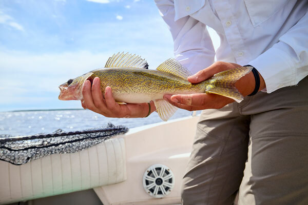 Anglers Fishing at Roosevelt Arnesen's Rocky Point Resort, Lake of the Woods / Paul Vincent
