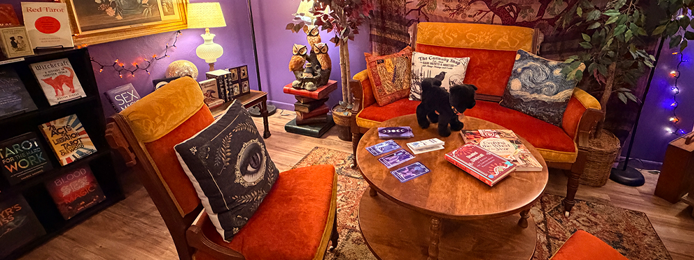 lamp-lit room with rich purple walls filled with books, comfy chairs, and a stuffed toy black cat.