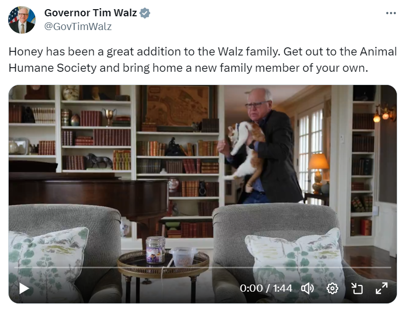 Governor Walz shares a video with his new family cat, Honey
