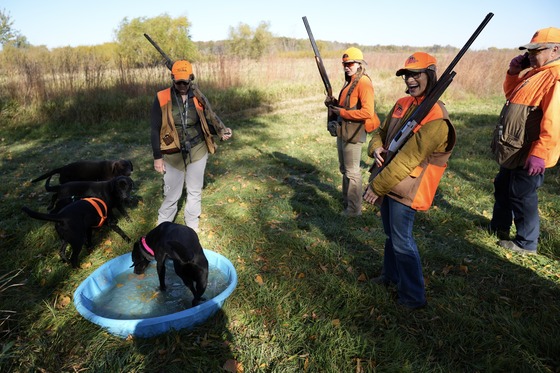 Lieutenant Governor Flanagan pheasant hunts in Austin Minnesota