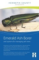 Emerald ash borer brochure