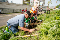 Arbor Day planting along the Midtown Greenway