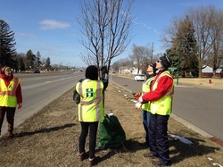 Tree steward volunteers