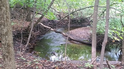 Plymouth Creek restoration